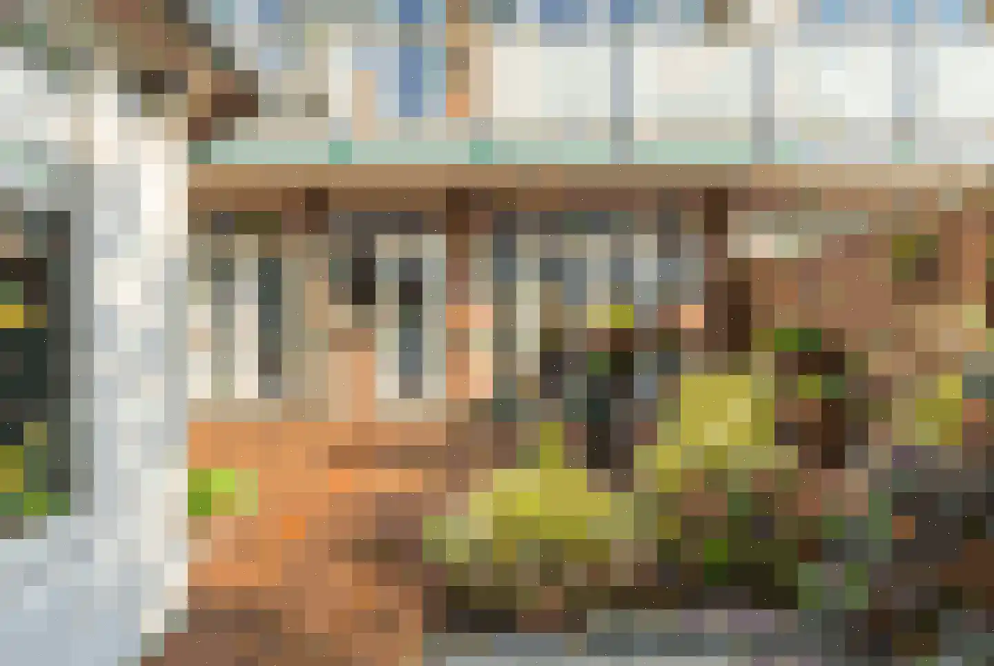Lamarckstraat 41 Den Haag thumbnail 27