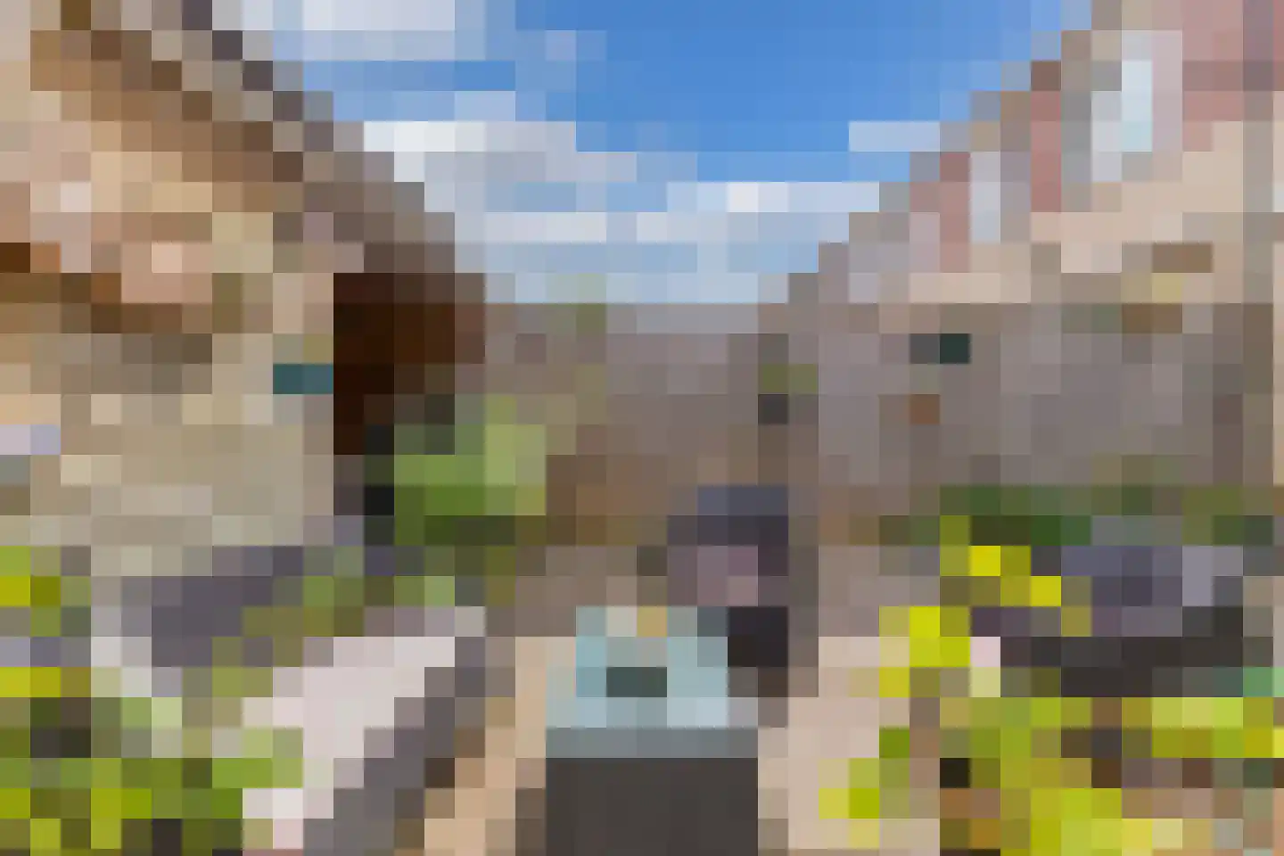 Lamastraat 44 Almere thumbnail 30