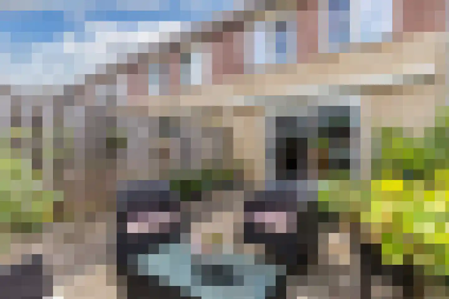Lamastraat 44 Almere thumbnail 31