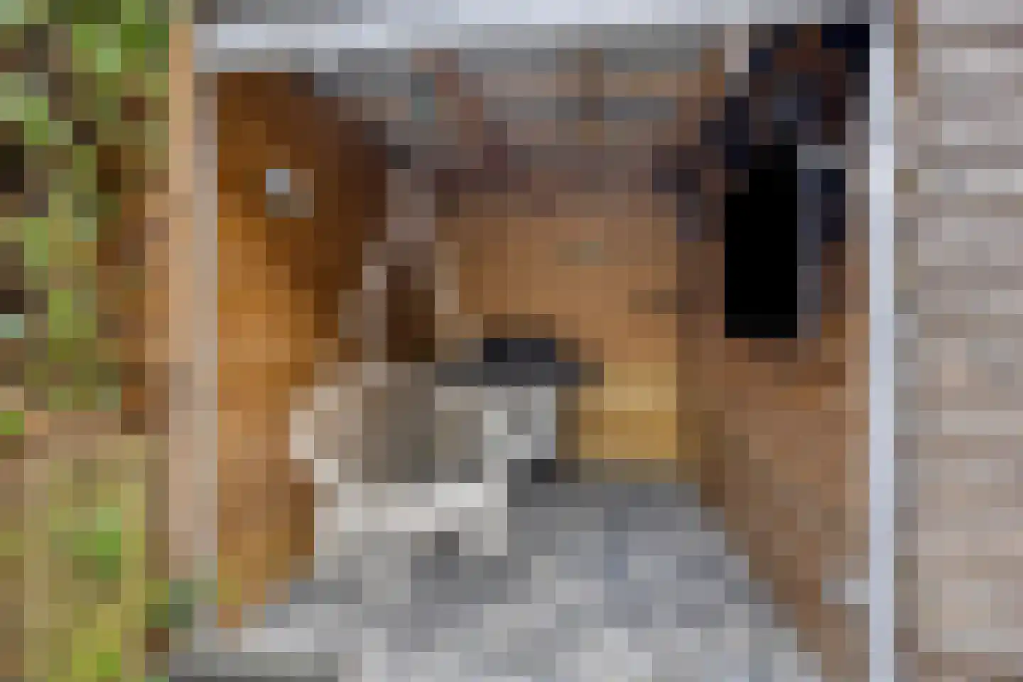 Lamastraat 56 Rotterdam thumbnail 30