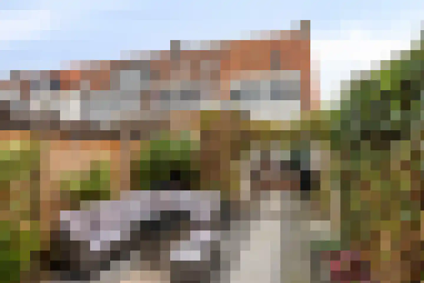 Lamastraat 56 Rotterdam thumbnail 31