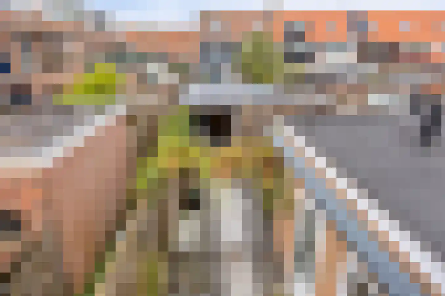 Lamastraat 56 Rotterdam thumbnail 32
