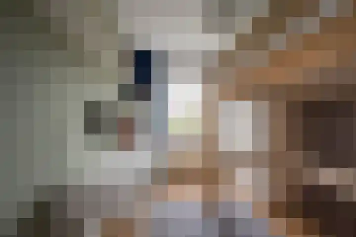 Lambalgerkom 8 Leusden thumbnail 21