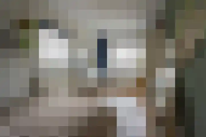 Lambalgerkom 8 Leusden thumbnail 22
