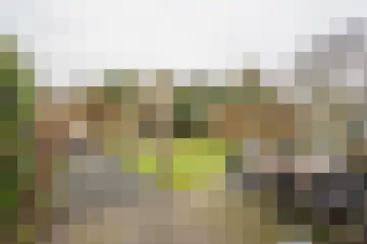 Lambalgerkom 8 Leusden thumbnail 32