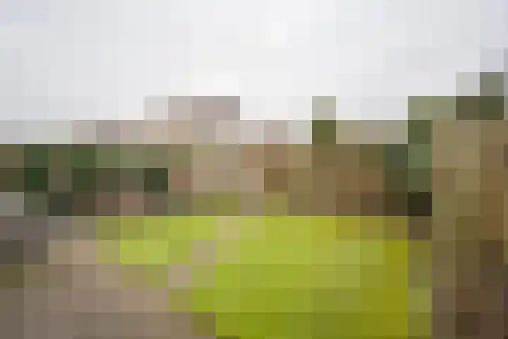 Lambalgerkom 8 Leusden thumbnail 33