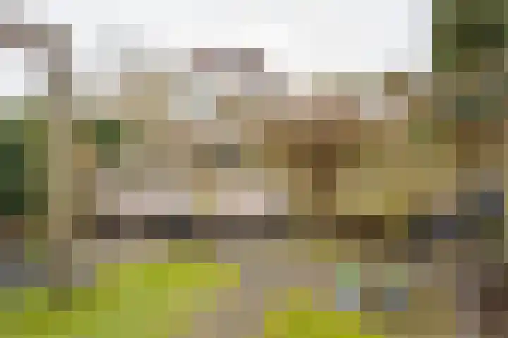 Lambalgerkom 8 Leusden thumbnail 34