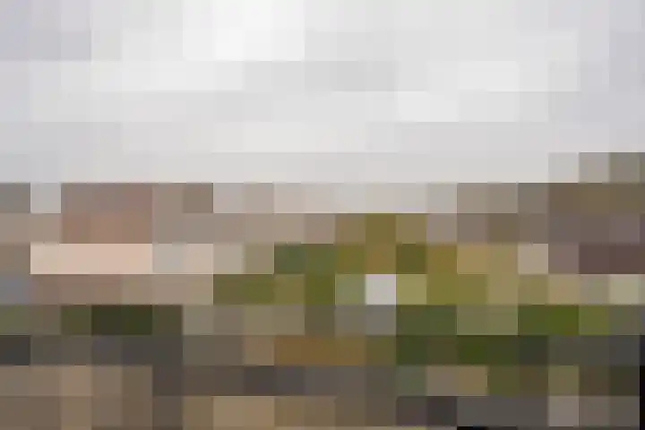 Lambalgerkom 8 Leusden thumbnail 36