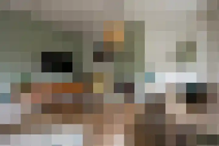 Lambalgerkom 8 Leusden thumbnail 4