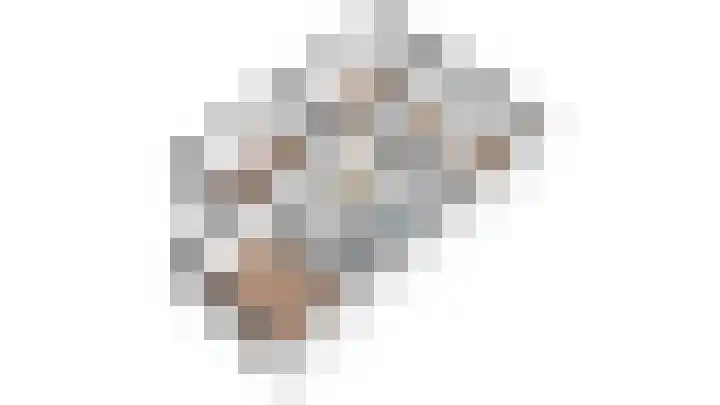 Lambalgerkom 8 Leusden thumbnail 42
