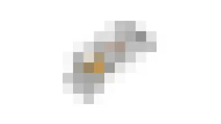 Lambalgerkom 8 Leusden thumbnail 44