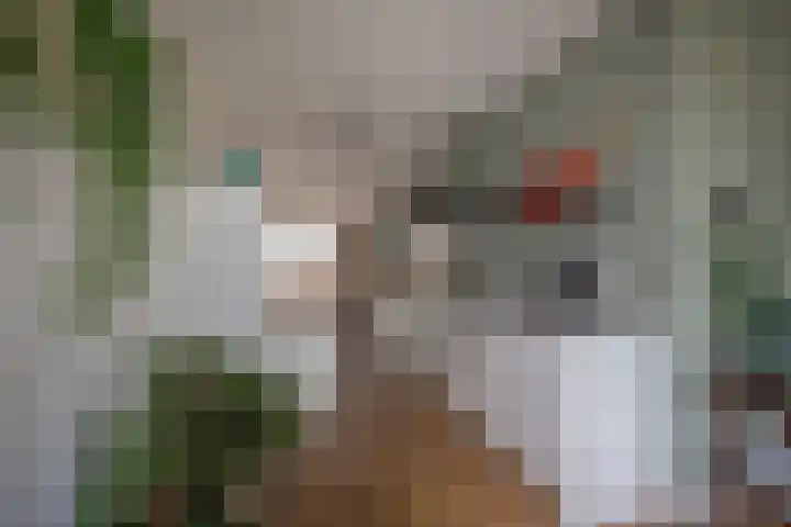 Lambalgerkom 8 Leusden thumbnail 7
