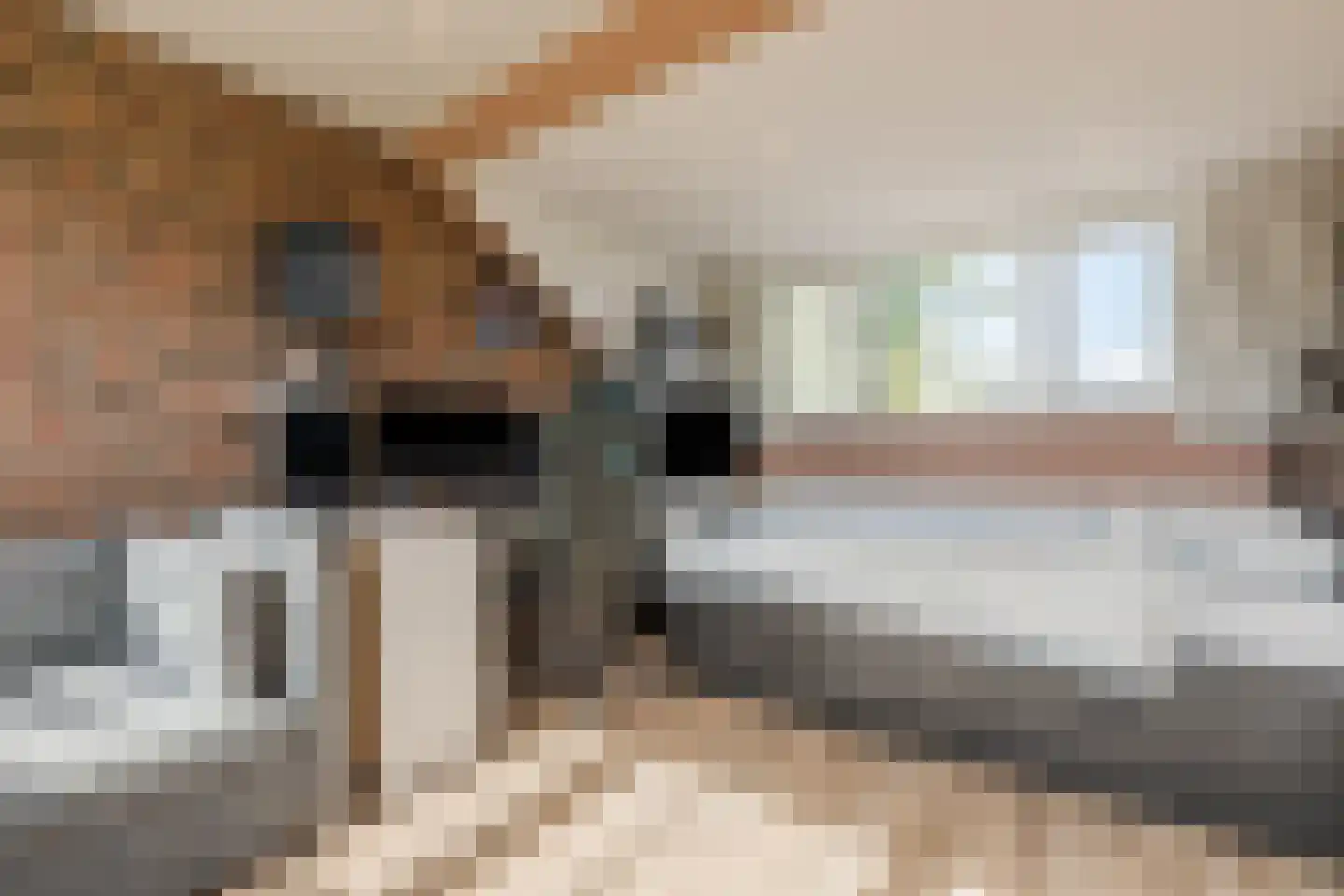 Lamberg 23 Veldhoven thumbnail 33