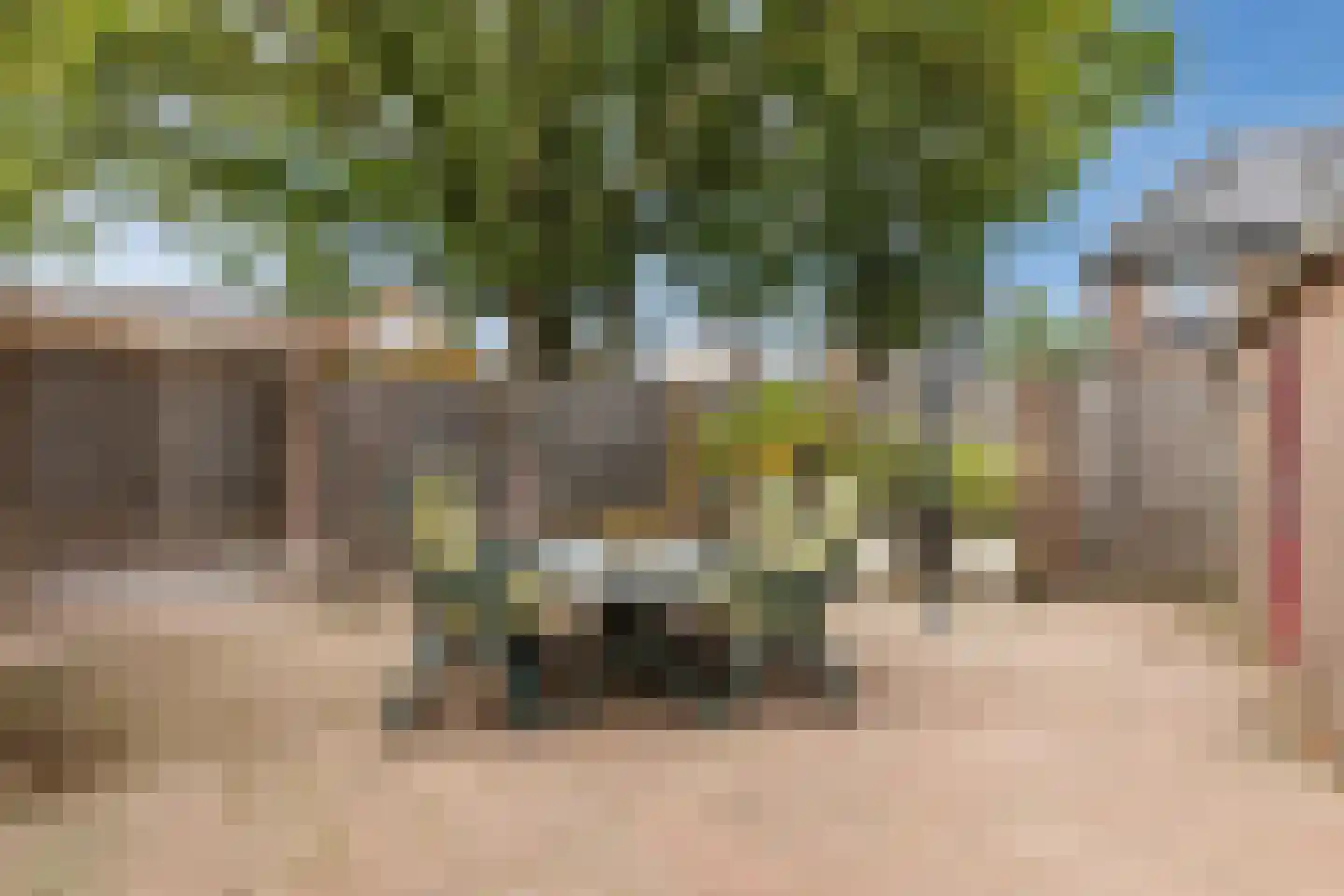Lamberg 23 Veldhoven thumbnail 37