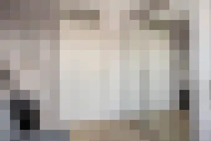 Lamberg 9 Veldhoven thumbnail 15