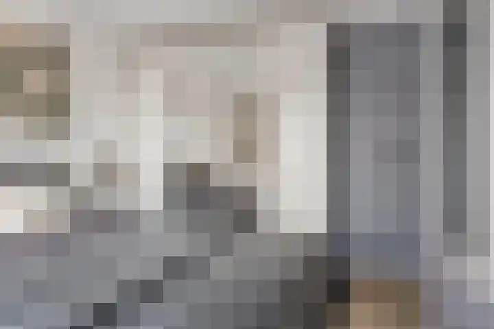 Lamberg 9 Veldhoven thumbnail 17