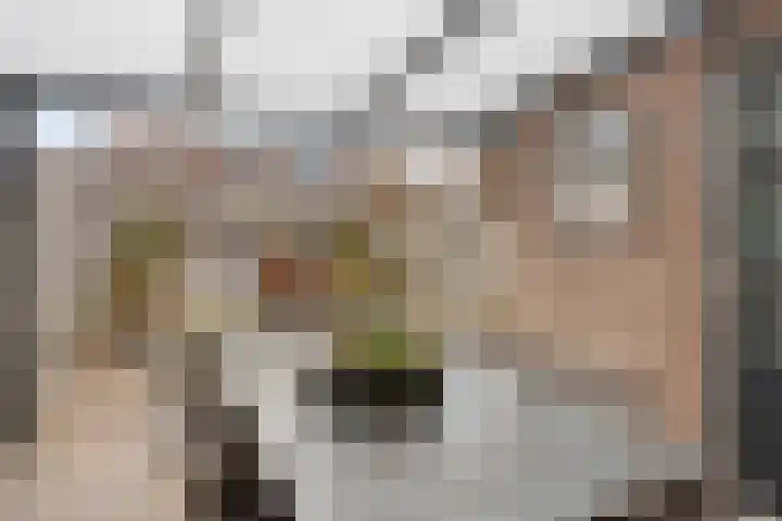 Lamberg 9 Veldhoven thumbnail 27