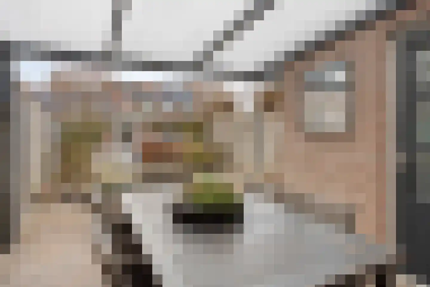 Lamberg 9 Veldhoven thumbnail 29