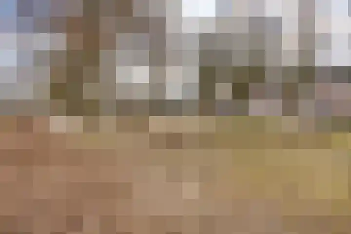 Lamberg 9 Veldhoven thumbnail 31