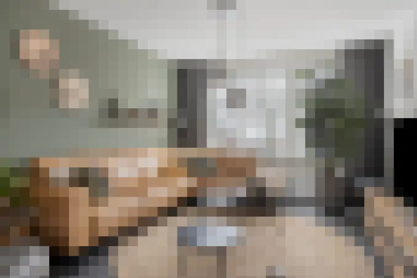 Lamberg 9 Veldhoven thumbnail 8