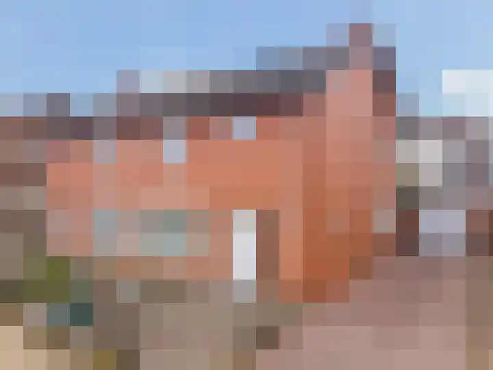 Lambermonstraat 24 Landgraaf thumbnail 31