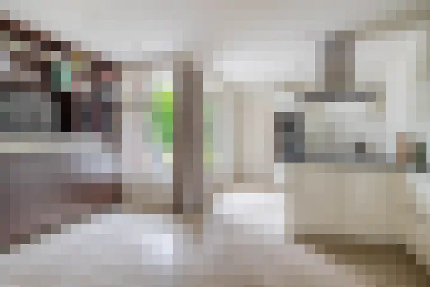 Lambert Colenstraat 3 Helmond thumbnail 17