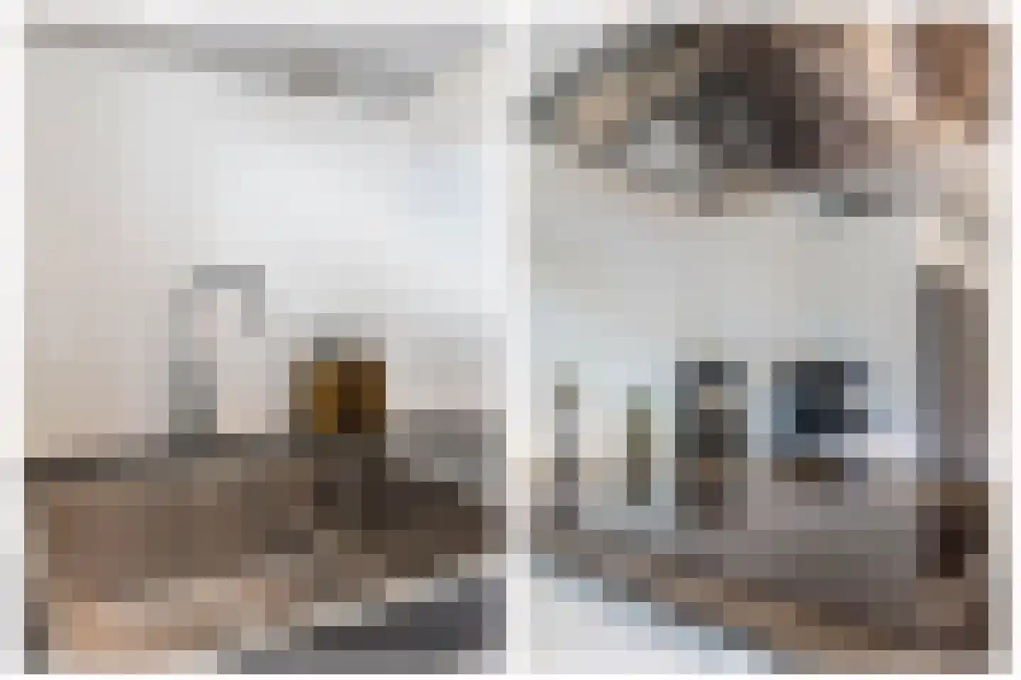 Lambert Colenstraat 3 Helmond thumbnail 19