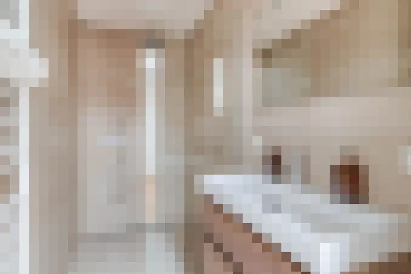 Lambert Colenstraat 3 Helmond thumbnail 34
