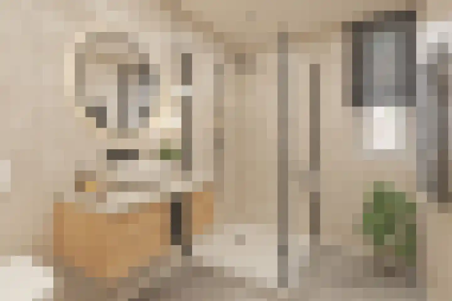 Lambert de Wijsstraat 10 Tilburg thumbnail 26