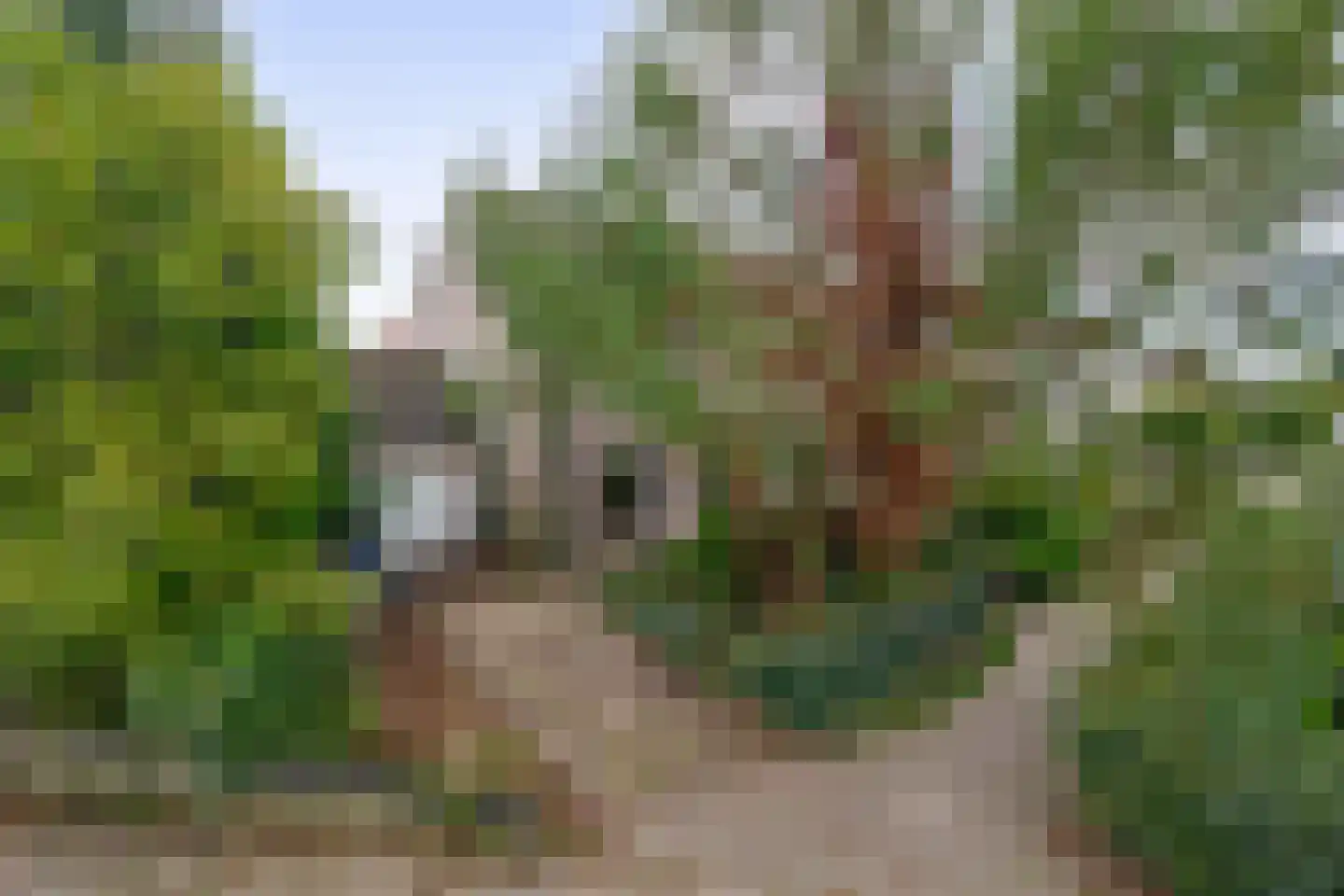 Lambert de Wijsstraat 10 Tilburg thumbnail 36