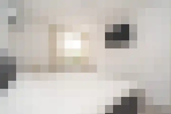 Lambert de Wijsstraat 28 Tilburg thumbnail 4