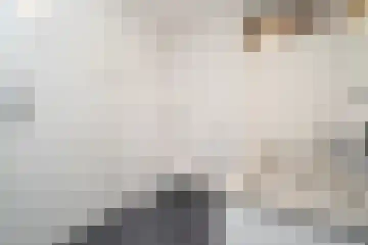 Lambert de Wijsstraat 28 Tilburg thumbnail 5