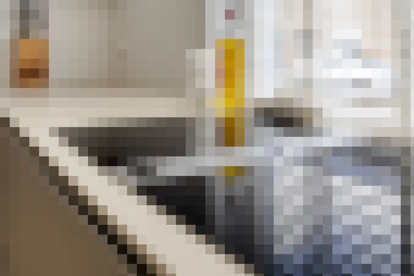 Lambert de Wijsstraat 35 Tilburg thumbnail 12