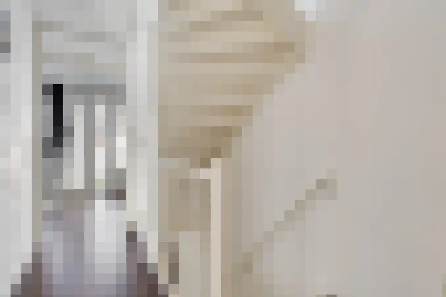 Lambert de Wijsstraat 35 Tilburg thumbnail 15