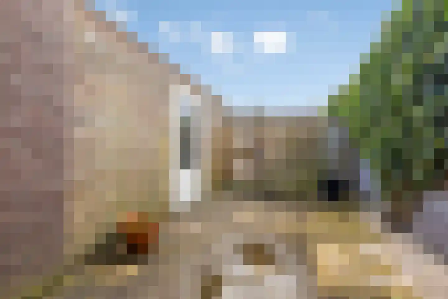 Lambert de Wijsstraat 35 Tilburg thumbnail 35