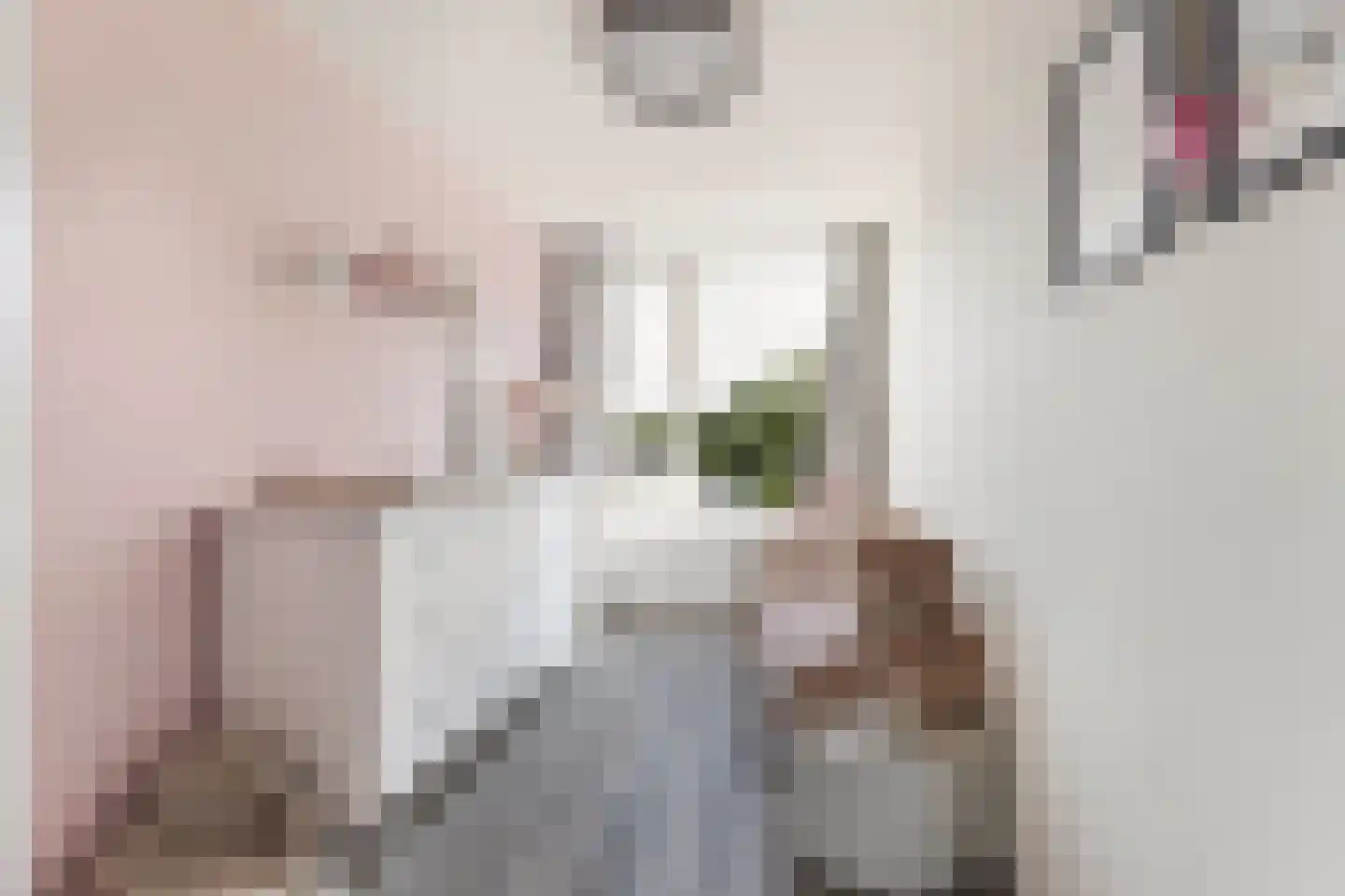 Lambert Doomerstraat 87 Alkmaar thumbnail 17