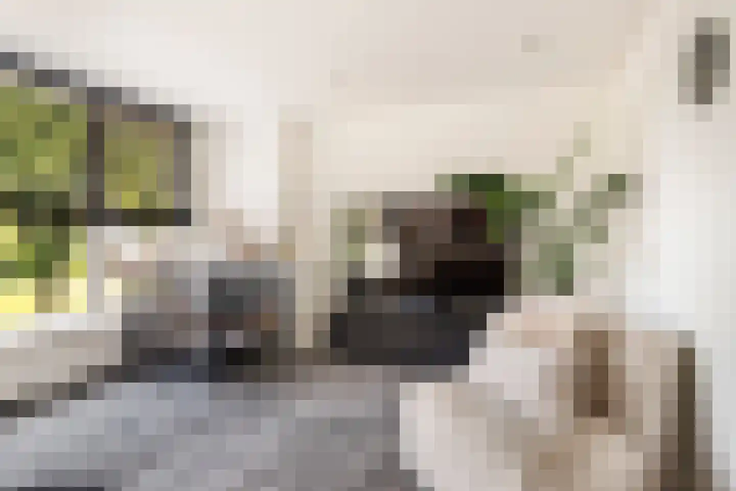 Lambert Doomerstraat 87 Alkmaar thumbnail 4