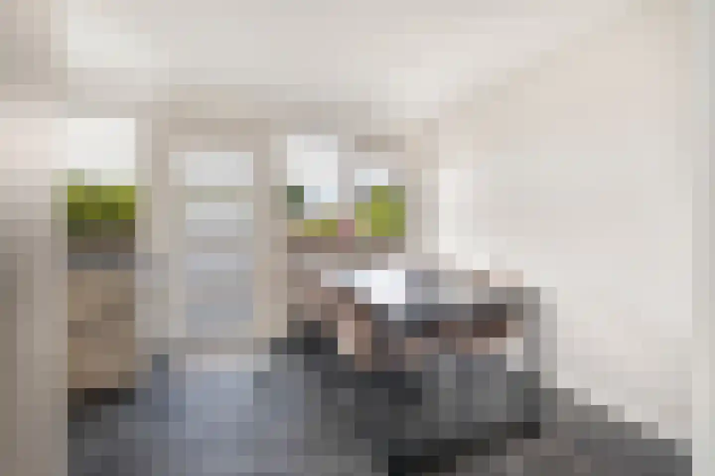 Lambert Doomerstraat 87 Alkmaar thumbnail 8