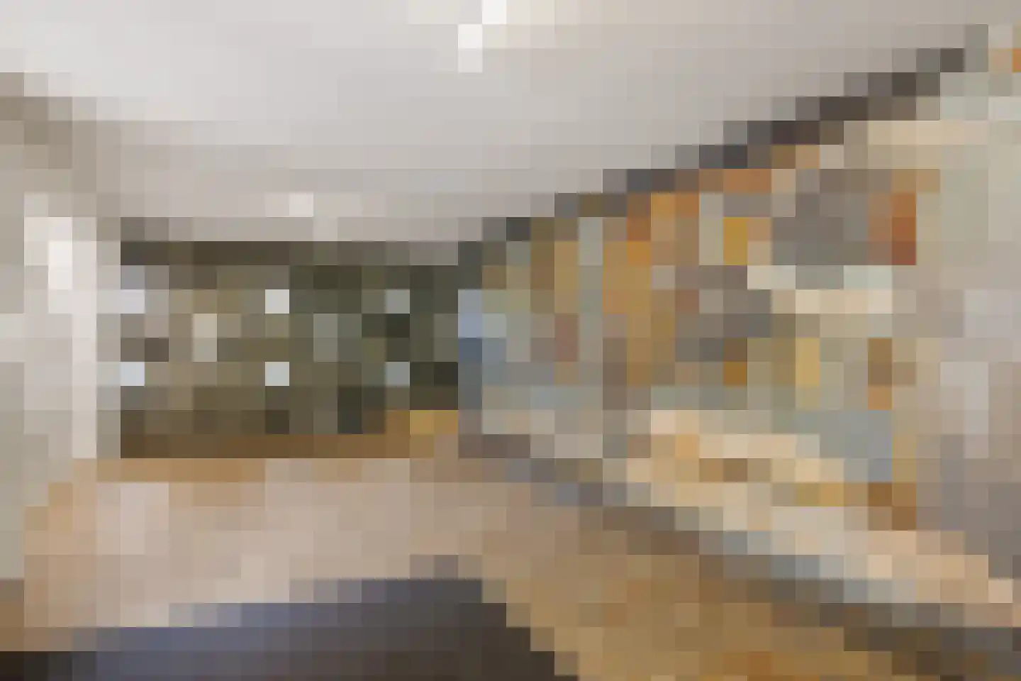 Lambert Heijnricsstraat 16 A Amersfoort thumbnail 36