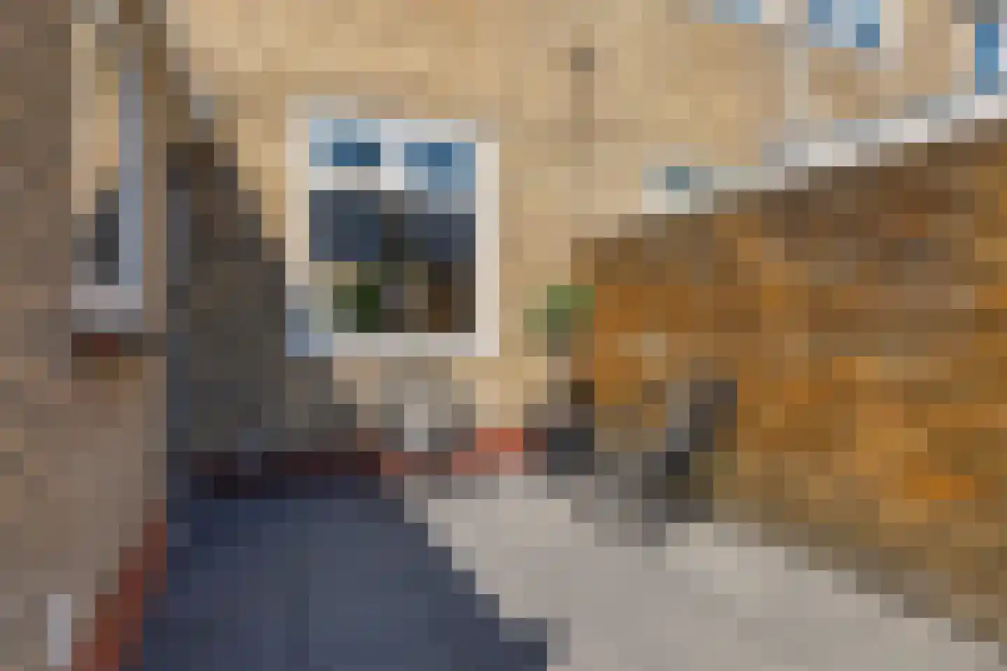 Lambert Jacobszstraat 31 Leeuwarden thumbnail 36