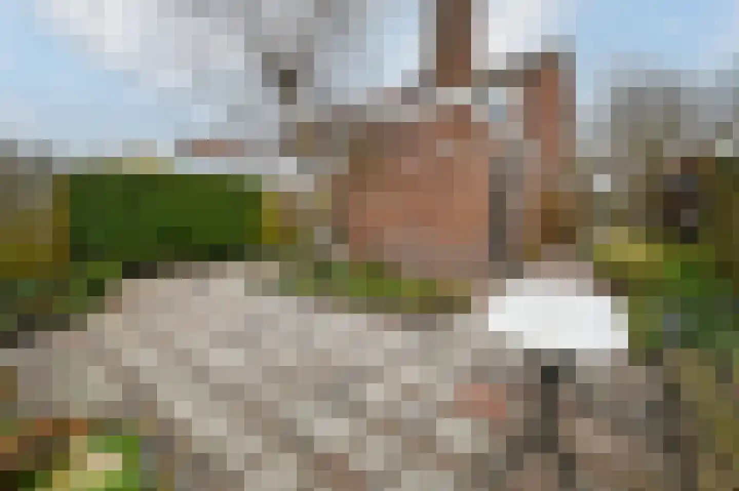 Lambert Meliszweg 28 Hoorn thumbnail 28
