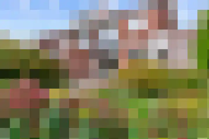 Lambert Meliszweg 36 Hoorn thumbnail 29