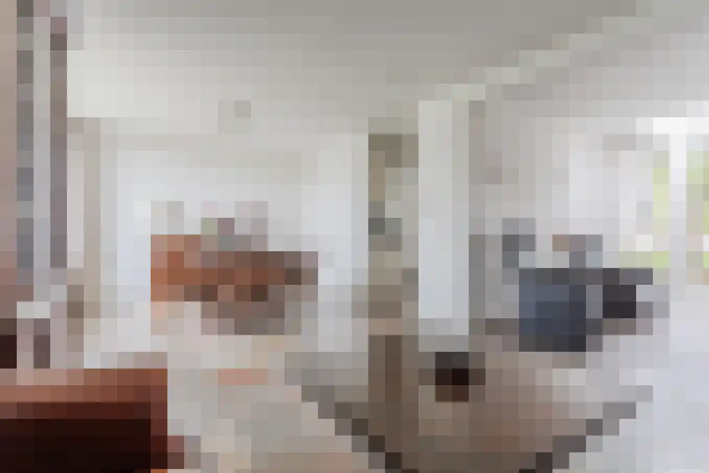 Lambert Melskenslaan 4 Luyksgestel thumbnail 11