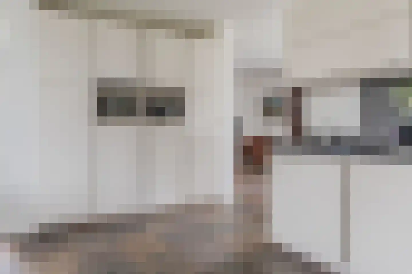 Lambert Melskenslaan 4 Luyksgestel thumbnail 16