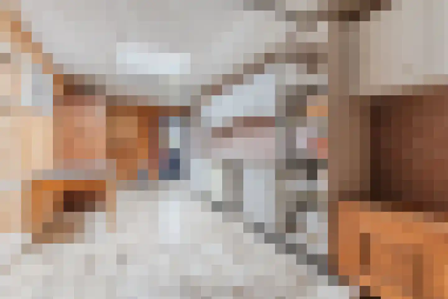Lambert Melskenslaan 4 Luyksgestel thumbnail 18
