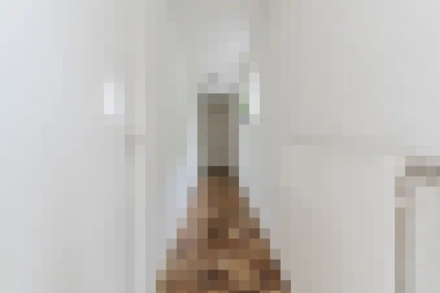 Lambert Melskenslaan 4 Luyksgestel thumbnail 21