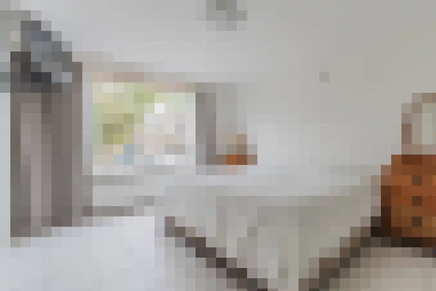 Lambert Melskenslaan 4 Luyksgestel thumbnail 22