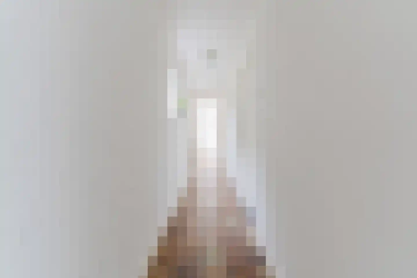 Lambert Melskenslaan 4 Luyksgestel thumbnail 28