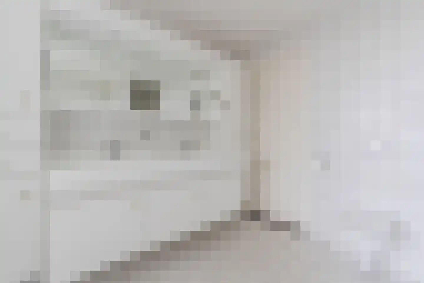 Lambert Melskenslaan 4 Luyksgestel thumbnail 30
