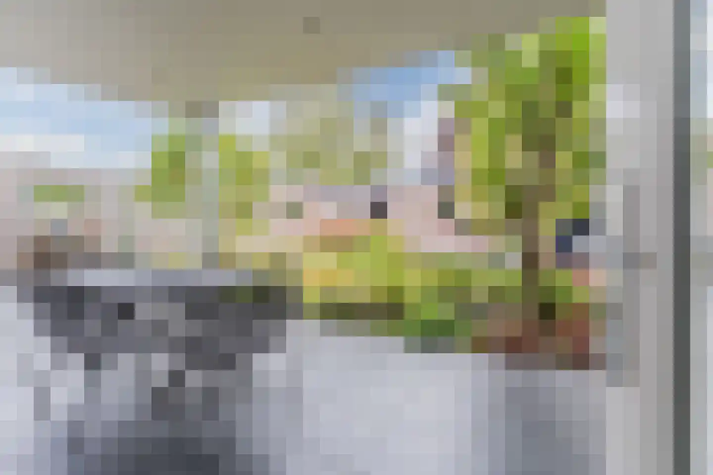 Lambert Melskenslaan 4 Luyksgestel thumbnail 31